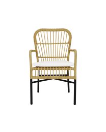 Fauteuil D'extérieur Avec Coussin Gratuit